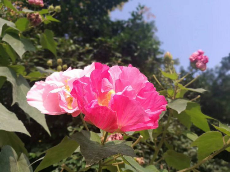 微信图片_20171126214345_jpg