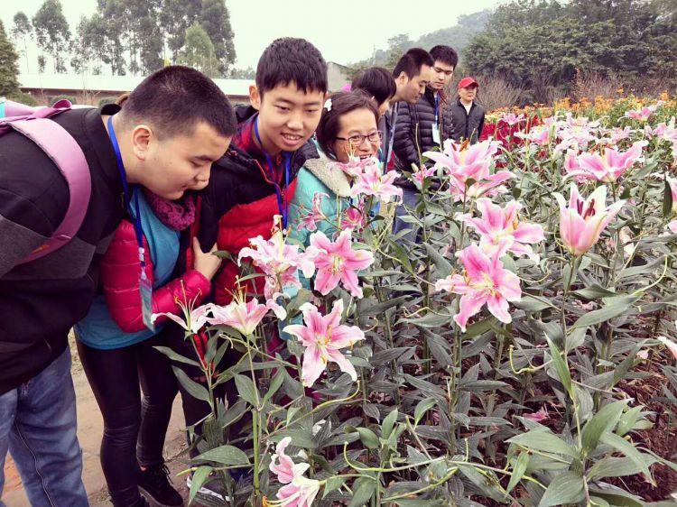 微信图片_20171126162649_jpg