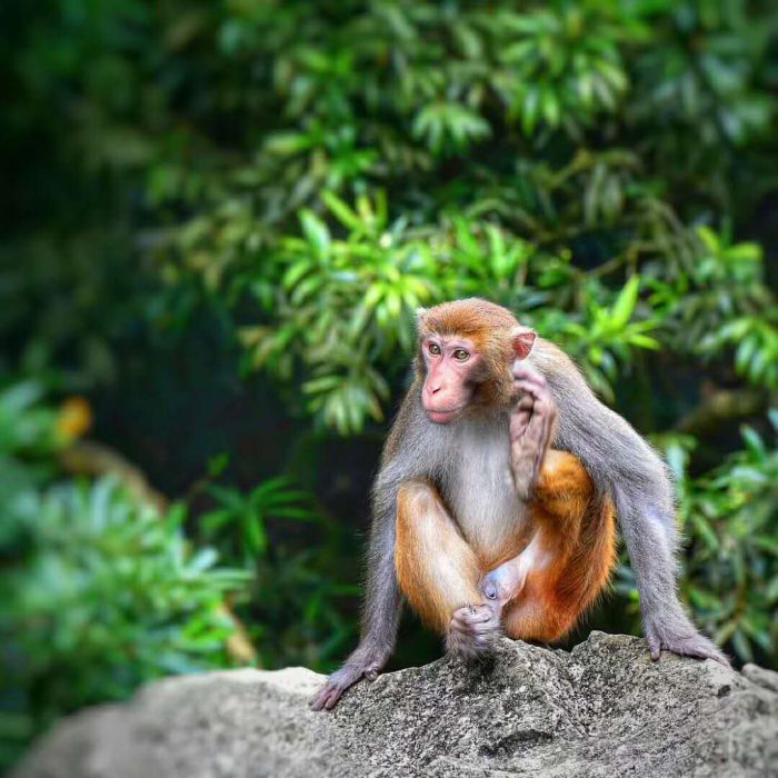 微信图片_20171202150851_jpg