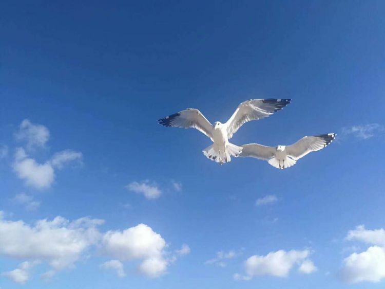 微信图片_20171202150855_jpg