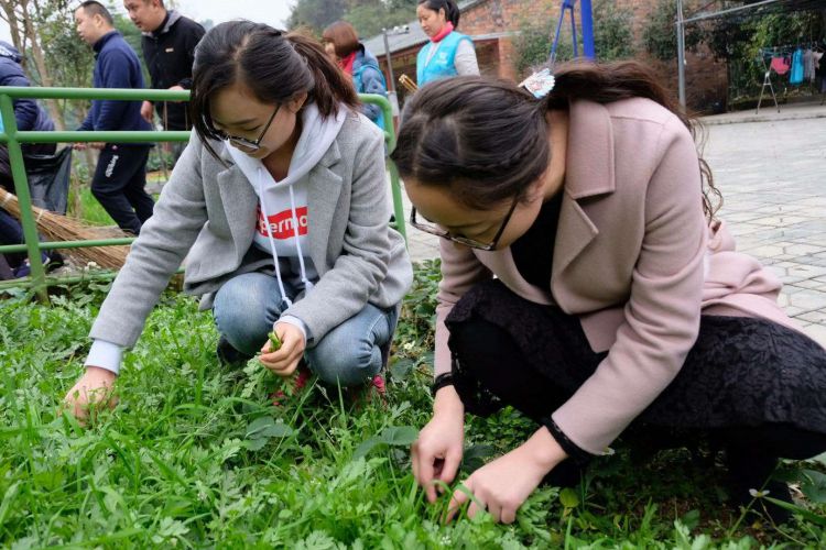 微信图片_20171217185037_jpg