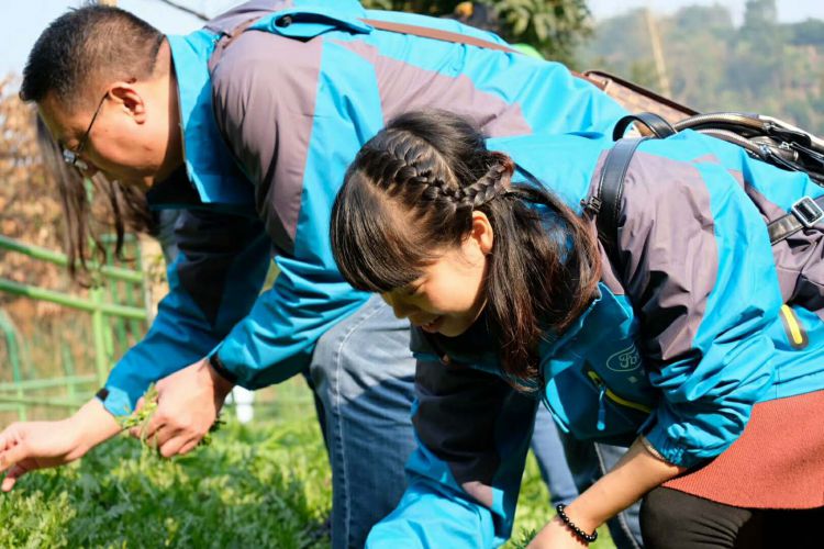 微信图片_20171223215857_jpg 微信图片_20171223215857_jpg