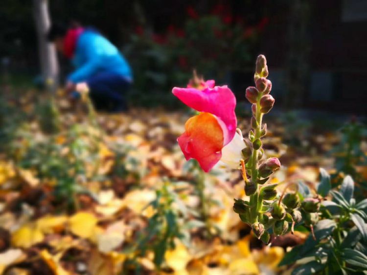 微信图片_20171223214900_jpg 微信图片_20171223214900_jpg