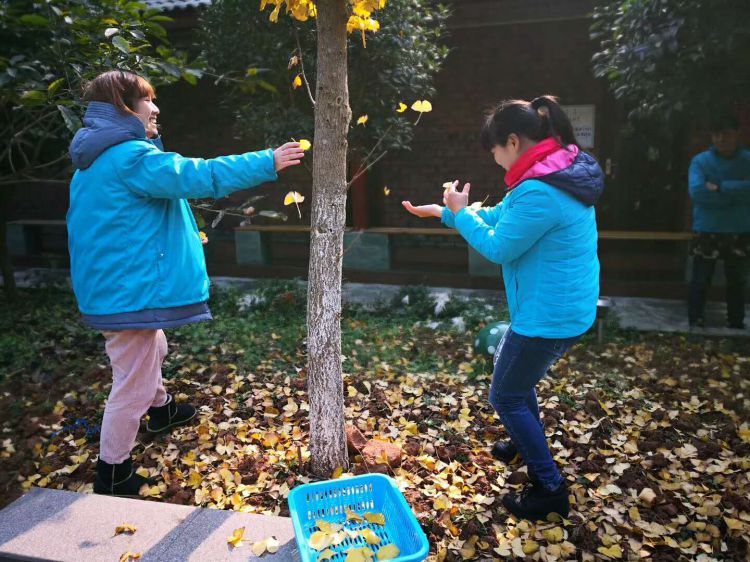 微信图片_20171223214906_jpg 微信图片_20171223214906_jpg