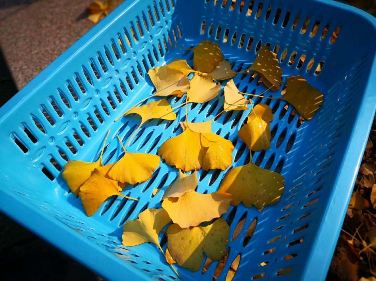 微信图片_20171223214910_jpg 微信图片_20171223214910_jpg