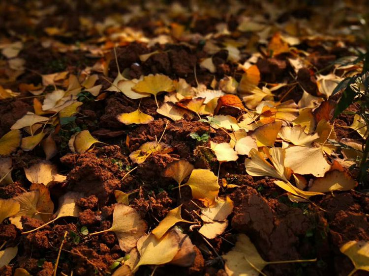 微信图片_20171223214921_jpg