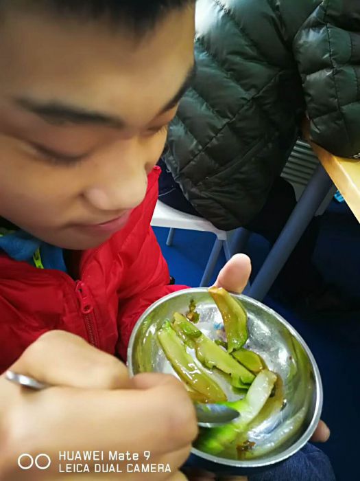 微信图片_20171223215649_jpg 微信图片_20171223215649_jpg