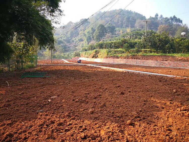 微信图片_20171223215000_jpg