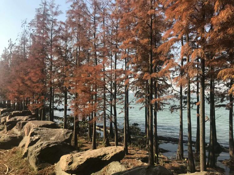 微信图片_20171224204329_jpg