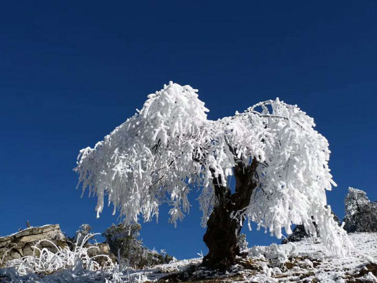 微信图片_20171223222157_jpg