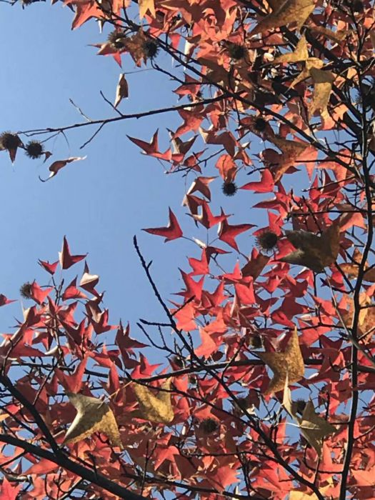 微信图片_20171223222216_jpg