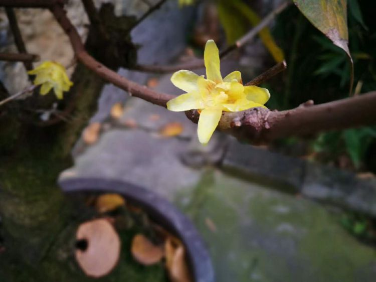 微信图片_20171230222104_jpg