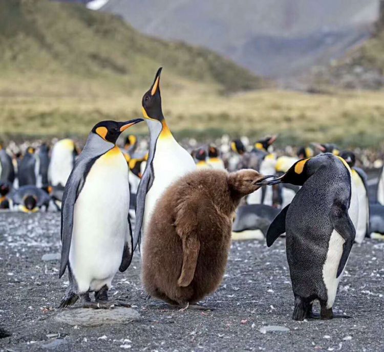 微信图片_20171230222124_jpg