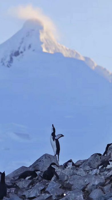 微信图片_20171230222133_jpg