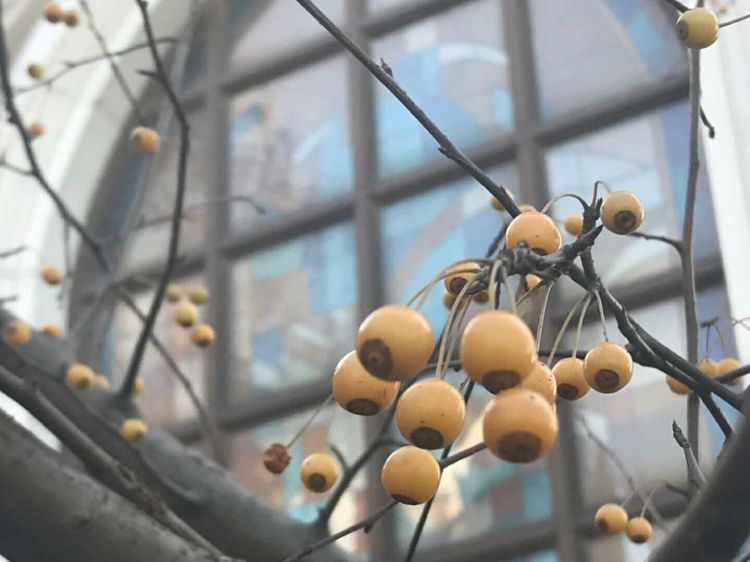 微信图片_20171230222055_jpg