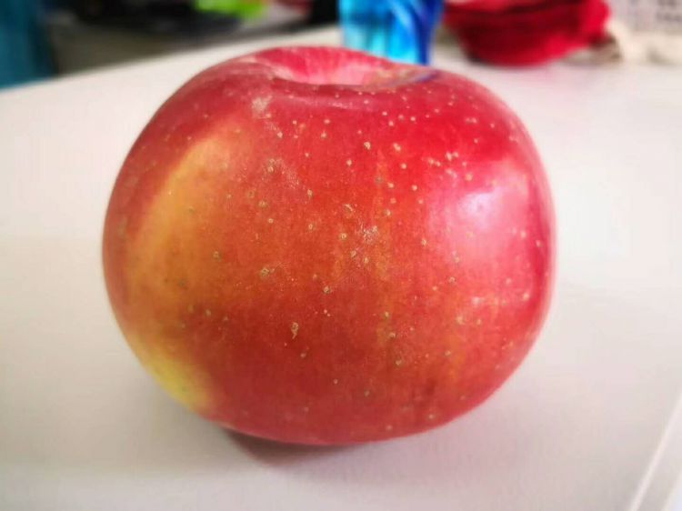 微信图片_20180107213251_jpg