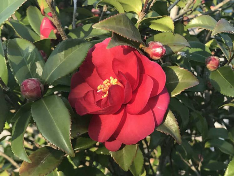 微信图片_20180107213305_jpg