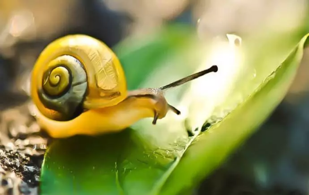 QQ图片20180117133856_png