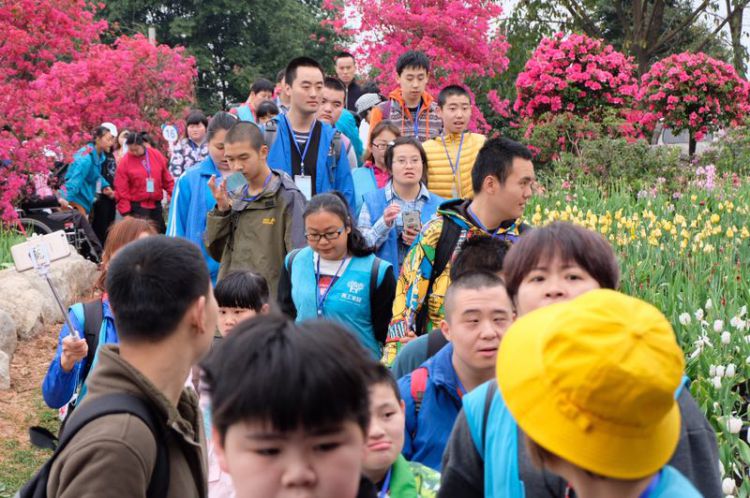 安全有序出行_jpg