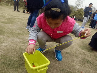 摸鱼IMG20180330114659_gif