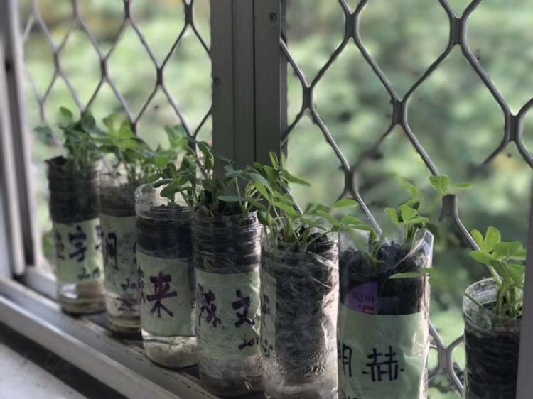 微信图片_20180511141347_jpg