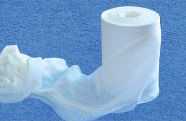 t017589057eae478b2e_jpg