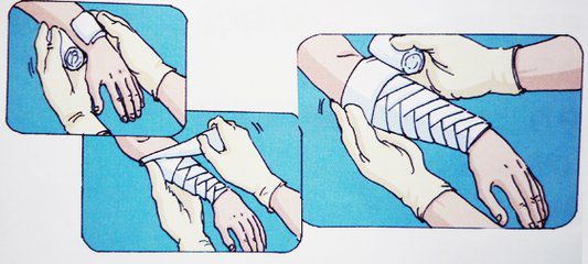 t018cfd9640f13625b3_jpg