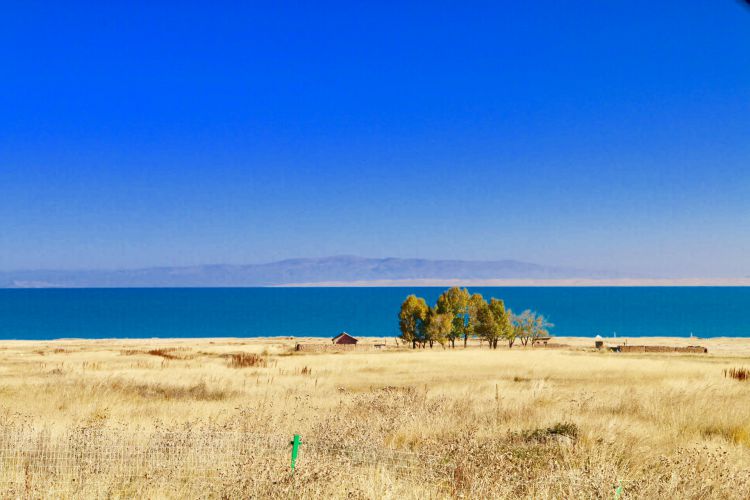 微信图片_20180518215835_jpg