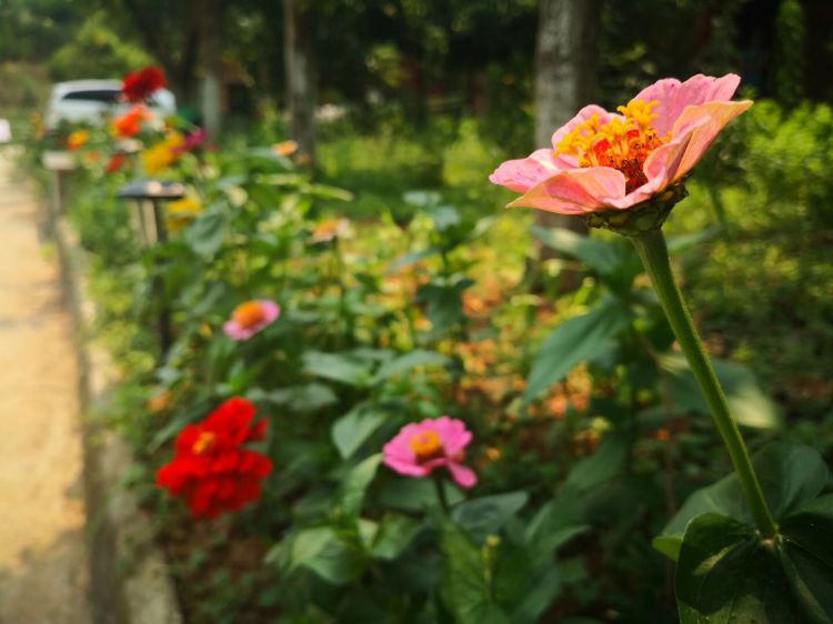 微信图片_20180518174247_jpg