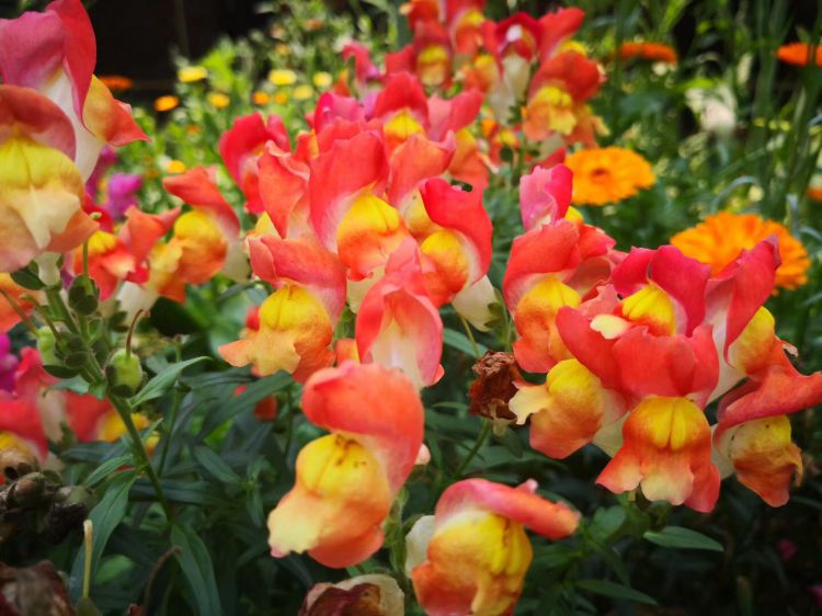 微信图片_20180518174250_jpg