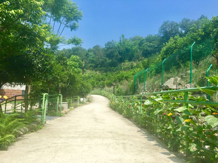 微信图片_20180525143635_jpg