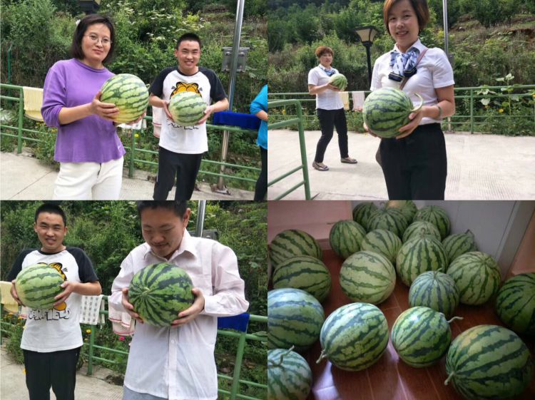 微信图片_20180525152653_jpg