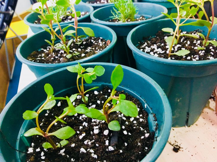 微信图片_20180608184721_jpg