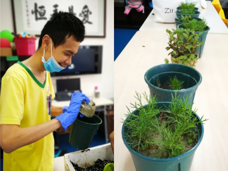 微信图片_20180608200200_jpg