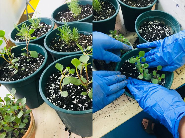 微信图片_20180608212306_jpg