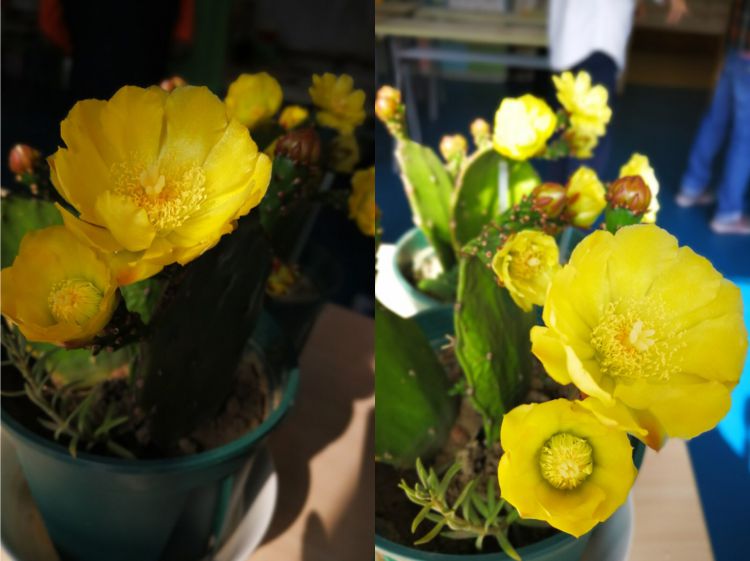 微信图片_20180608214151_jpg