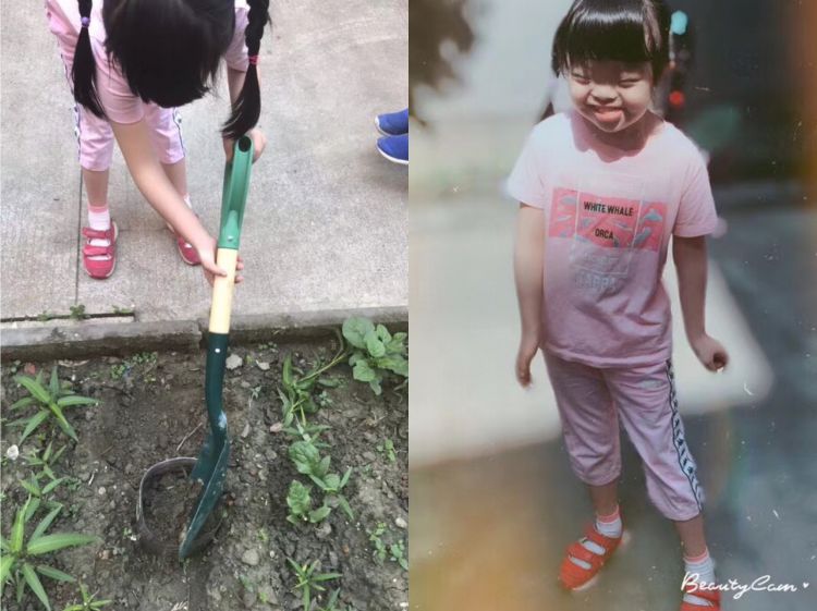 微信图片_20180608225302_jpg