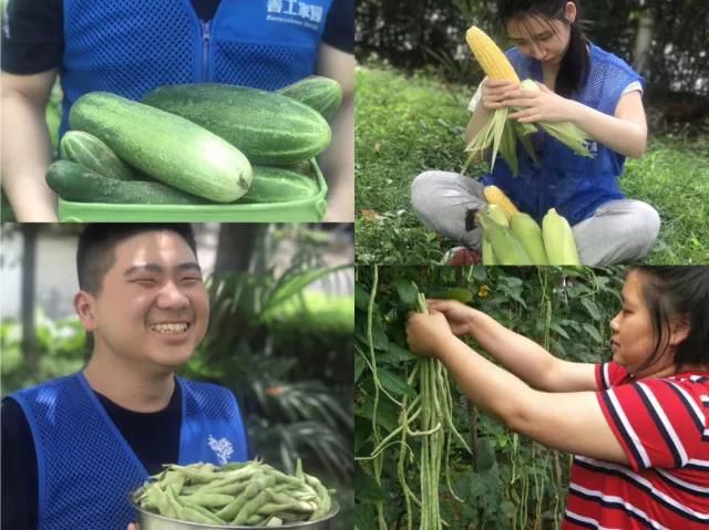 微信图片_20180626100914_jpg