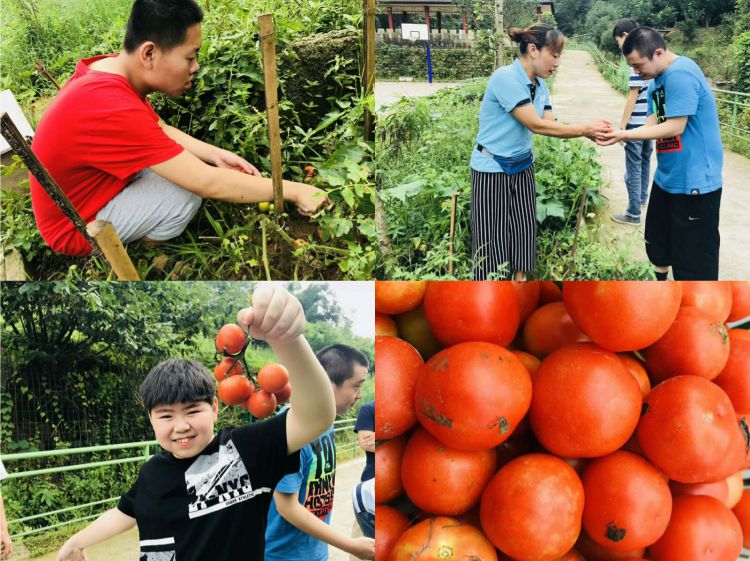 微信图片_20180722001255_jpg