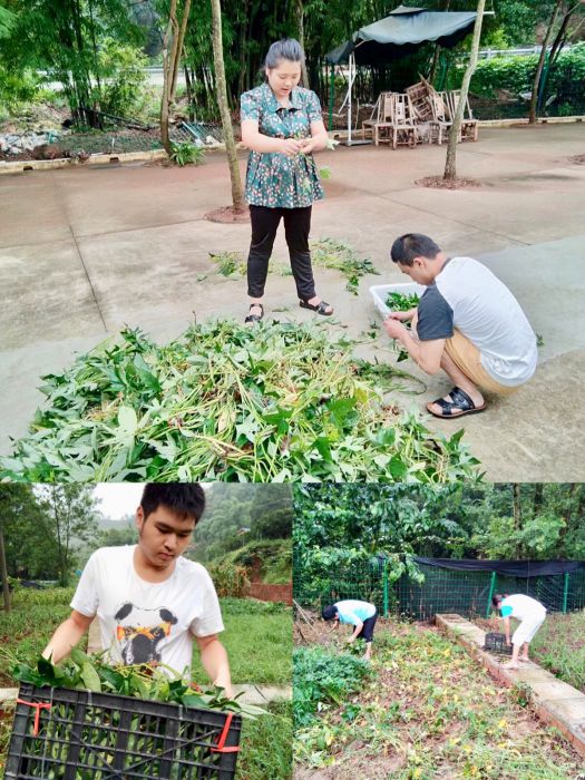 微信图片_20180731164351_jpg