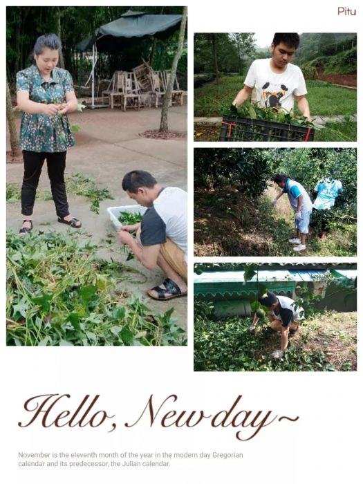 微信图片_20180821102535_jpg