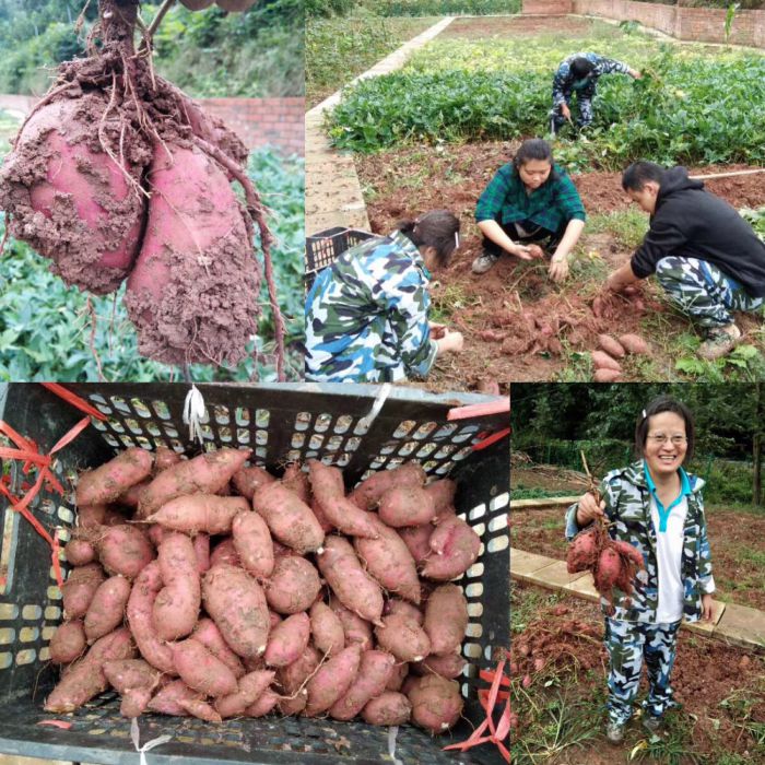 微信图片_20180930165525_jpg