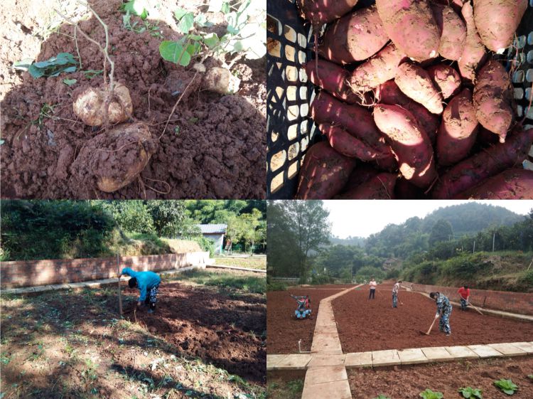 微信图片_20181012155735_jpg