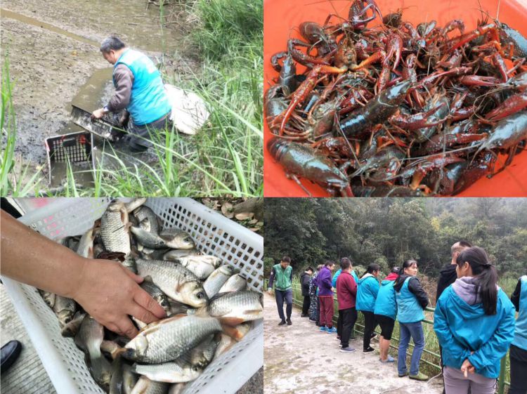 微信图片_20181018172324_jpg