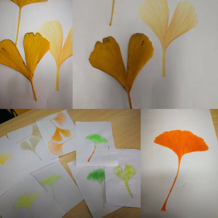 微信图片_20181124210023_jpg