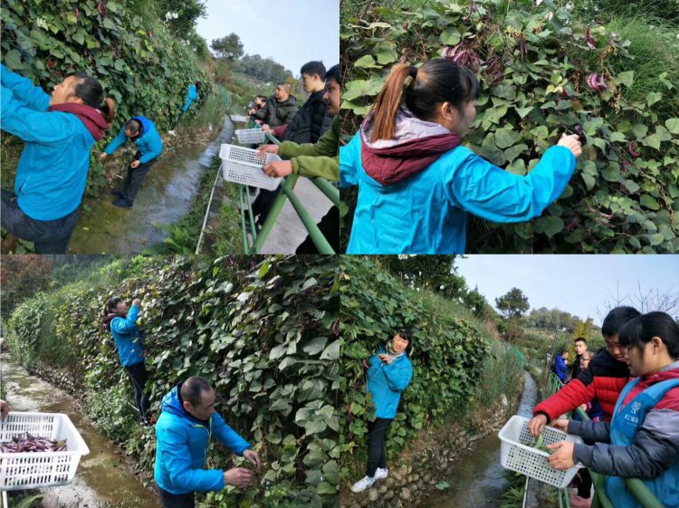 微信图片_20181124210101_jpg