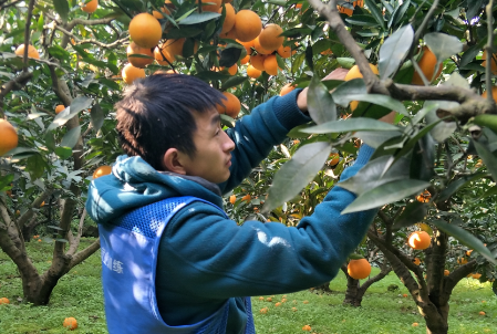 QQ截图20181130221236_png