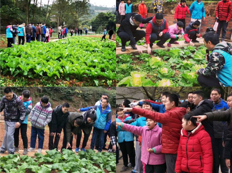 微信图片_20181207142604_jpg