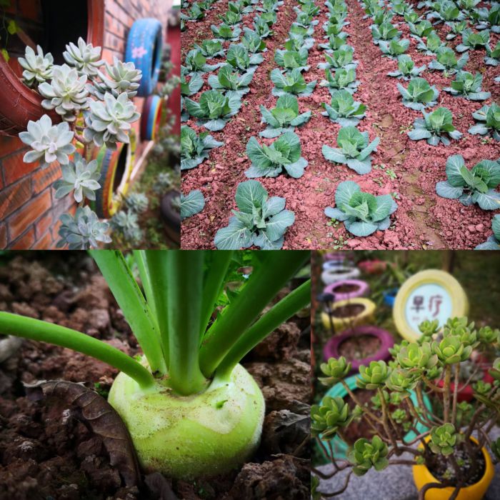 微信图片_20181214171613_jpg