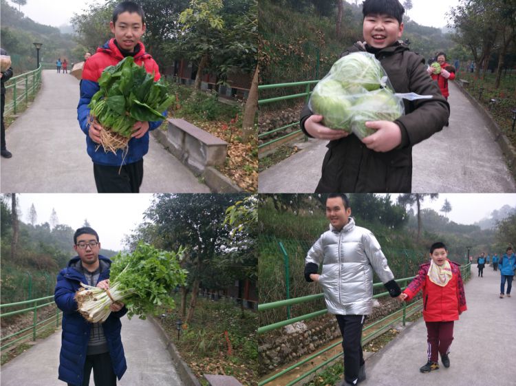 微信图片_20181229164057_jpg